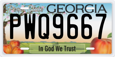 GA license plate PWQ9667