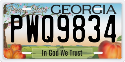 GA license plate PWQ9834