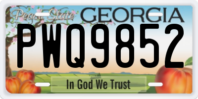 GA license plate PWQ9852