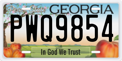 GA license plate PWQ9854