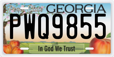 GA license plate PWQ9855