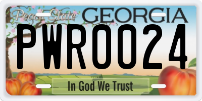 GA license plate PWR0024