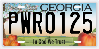 GA license plate PWR0125