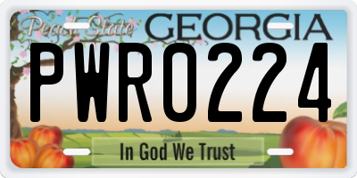 GA license plate PWR0224