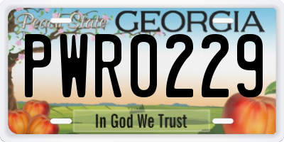 GA license plate PWR0229