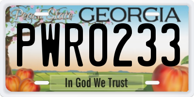GA license plate PWR0233