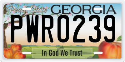 GA license plate PWR0239