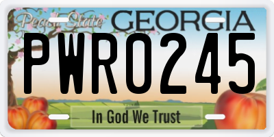 GA license plate PWR0245
