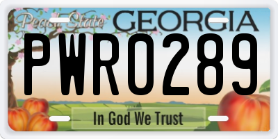 GA license plate PWR0289