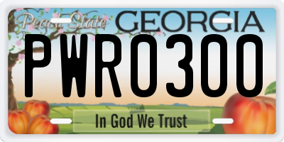 GA license plate PWR0300