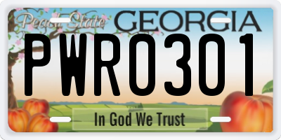 GA license plate PWR0301
