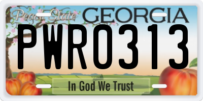 GA license plate PWR0313