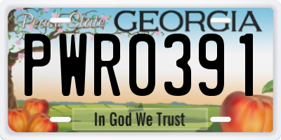 GA license plate PWR0391