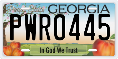 GA license plate PWR0445