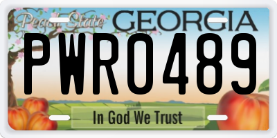 GA license plate PWR0489