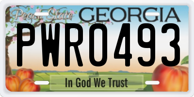 GA license plate PWR0493