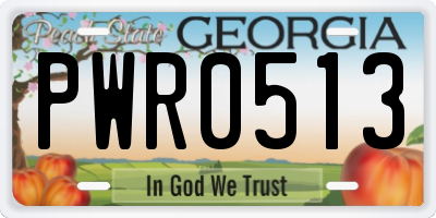GA license plate PWR0513