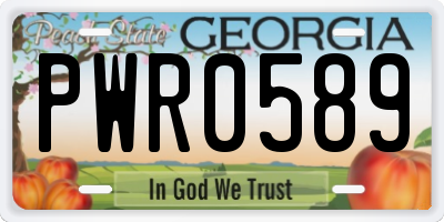 GA license plate PWR0589