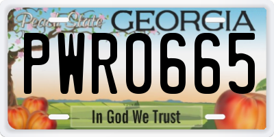 GA license plate PWR0665