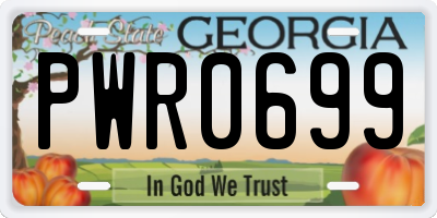 GA license plate PWR0699