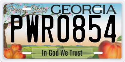 GA license plate PWR0854