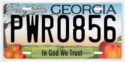 GA license plate PWR0856