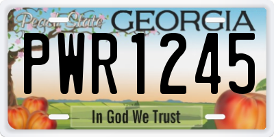 GA license plate PWR1245
