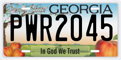 GA license plate PWR2045