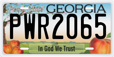GA license plate PWR2065