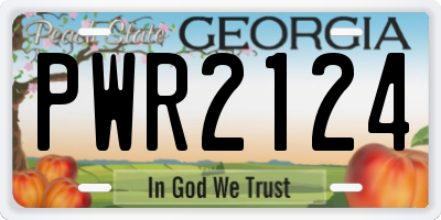 GA license plate PWR2124