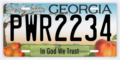 GA license plate PWR2234
