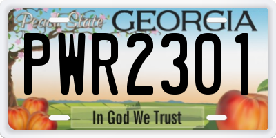 GA license plate PWR2301