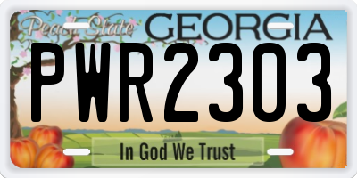GA license plate PWR2303