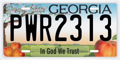 GA license plate PWR2313