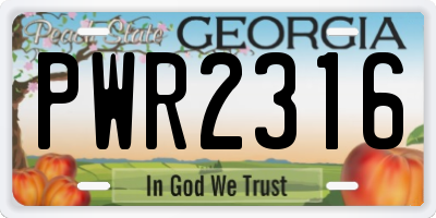 GA license plate PWR2316