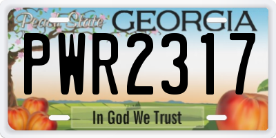 GA license plate PWR2317