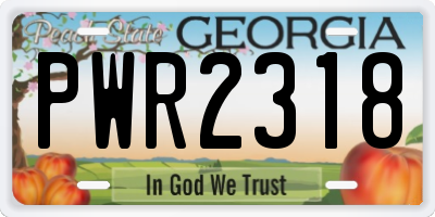 GA license plate PWR2318