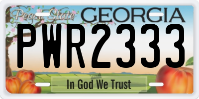 GA license plate PWR2333