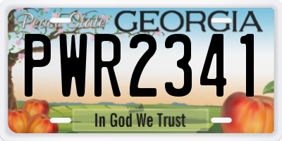 GA license plate PWR2341