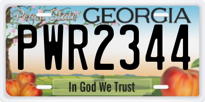 GA license plate PWR2344