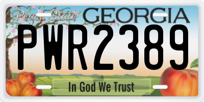GA license plate PWR2389