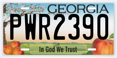 GA license plate PWR2390