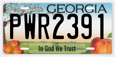 GA license plate PWR2391