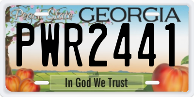 GA license plate PWR2441