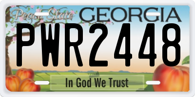 GA license plate PWR2448