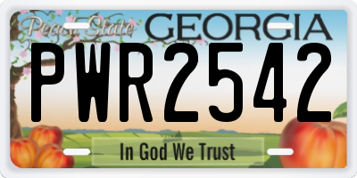 GA license plate PWR2542