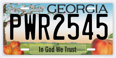 GA license plate PWR2545