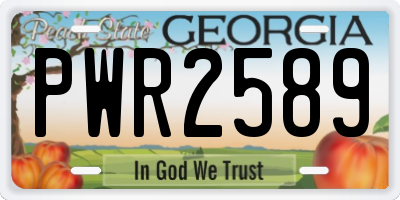 GA license plate PWR2589