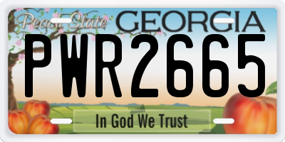 GA license plate PWR2665