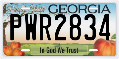 GA license plate PWR2834